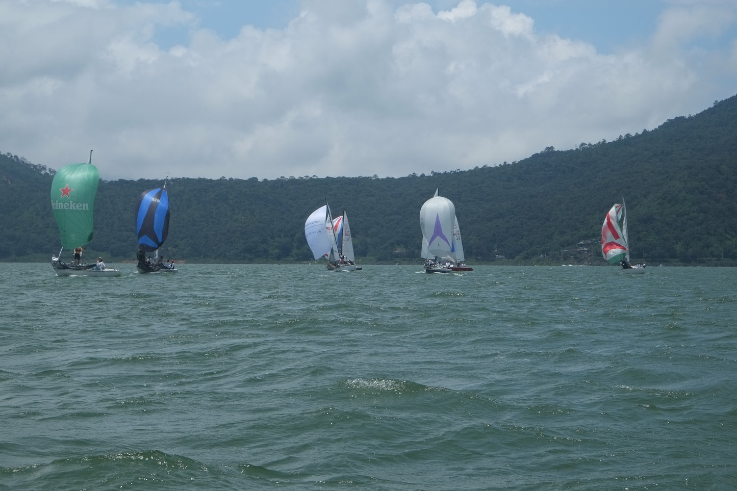Santana 20 Vela Spinnaker