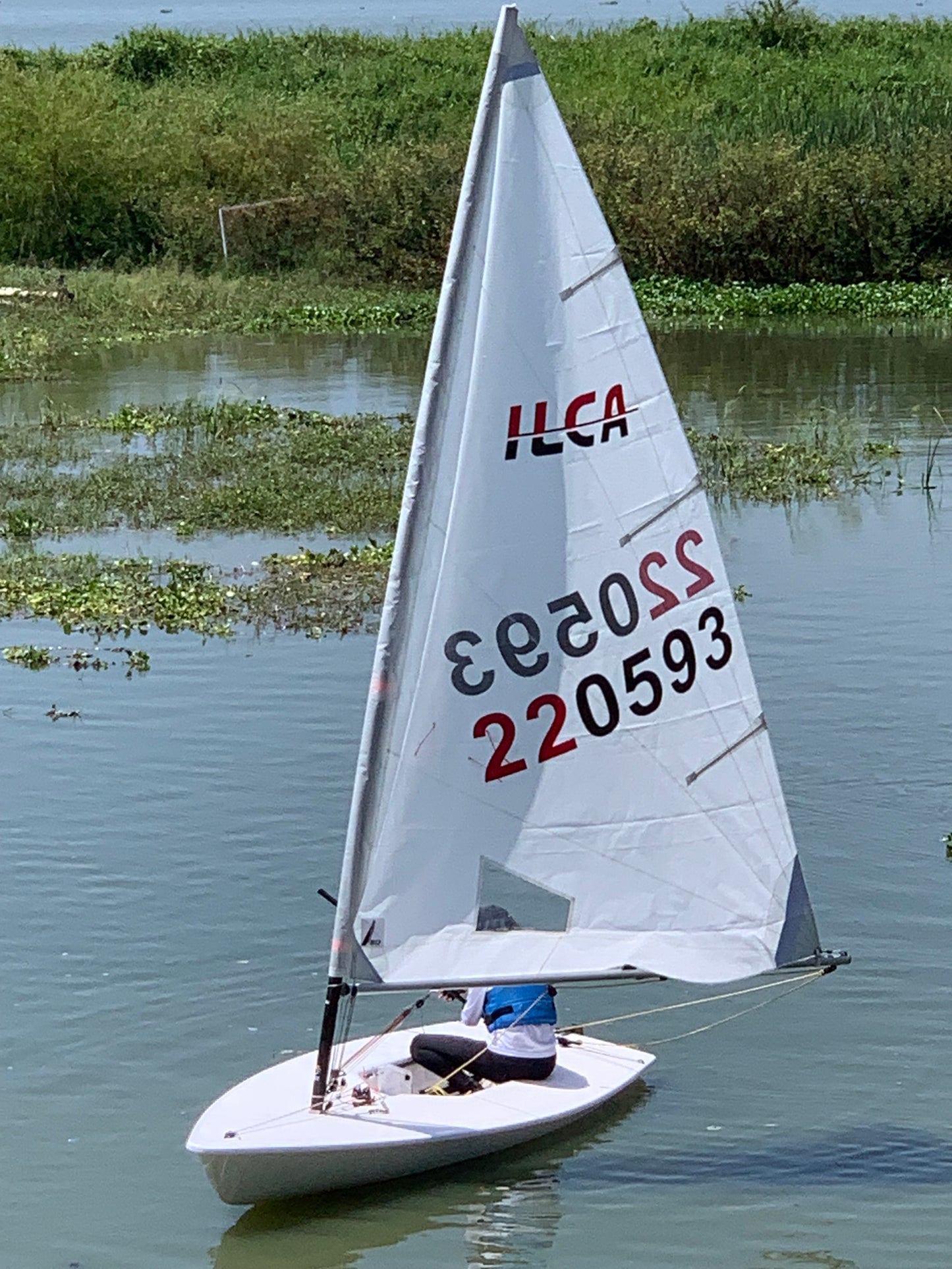 Vela de Ilca 6