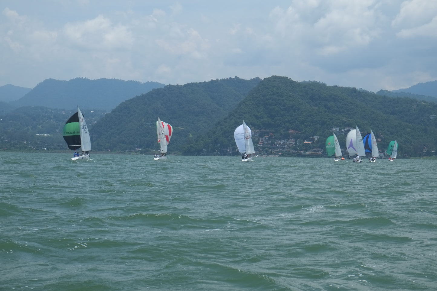 Santana 20 Vela Spinnaker