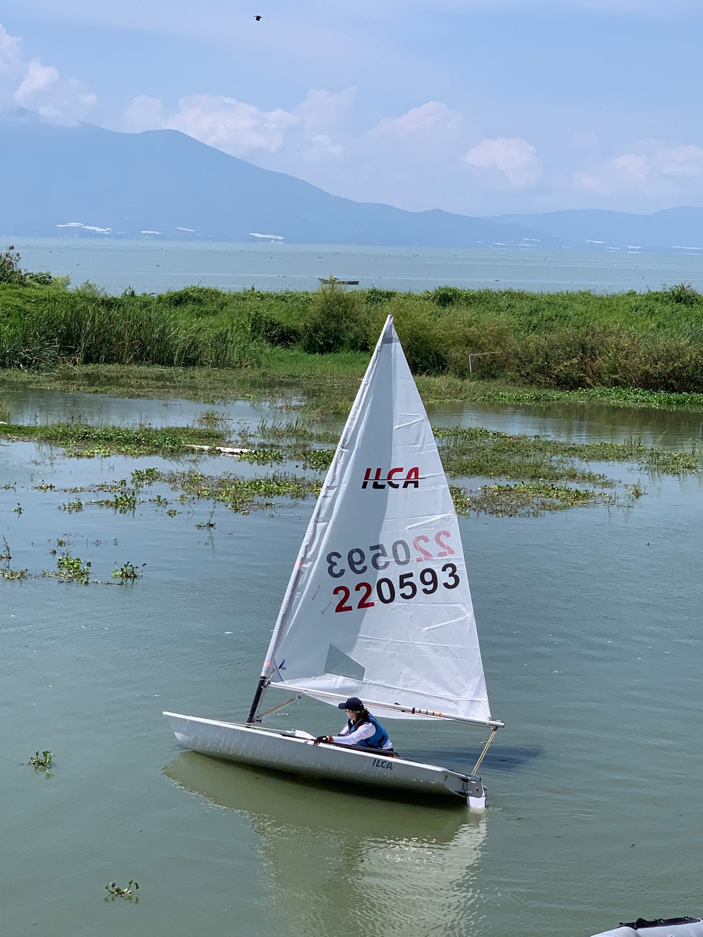 Vela de Ilca 6